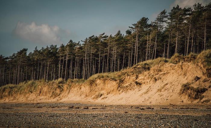 Newborough Forest and National Nature Reserve